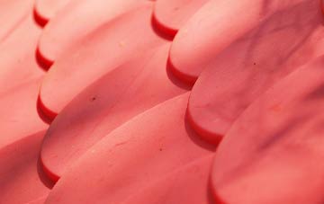 Findon plastic roof costs