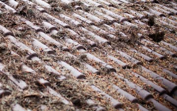 Findon roof cleaning companies